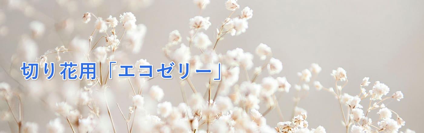 「エコゼリー」で切り花の取り扱いが大変便利!
